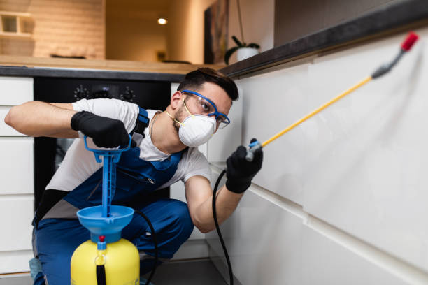 Best Insect Control  in Crystal Lakes, OH