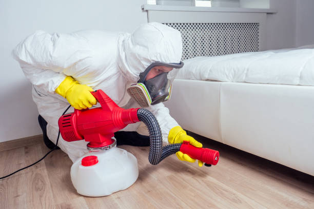Best Ant Control Services  in Crystal Lakes, OH