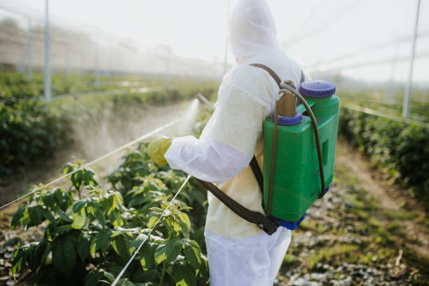 Best Termite Control Services  in Crystal Lakes, OH